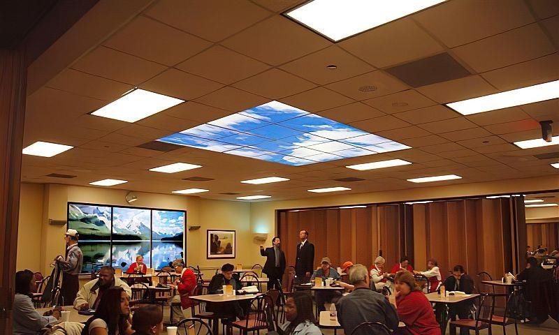 Office Murals